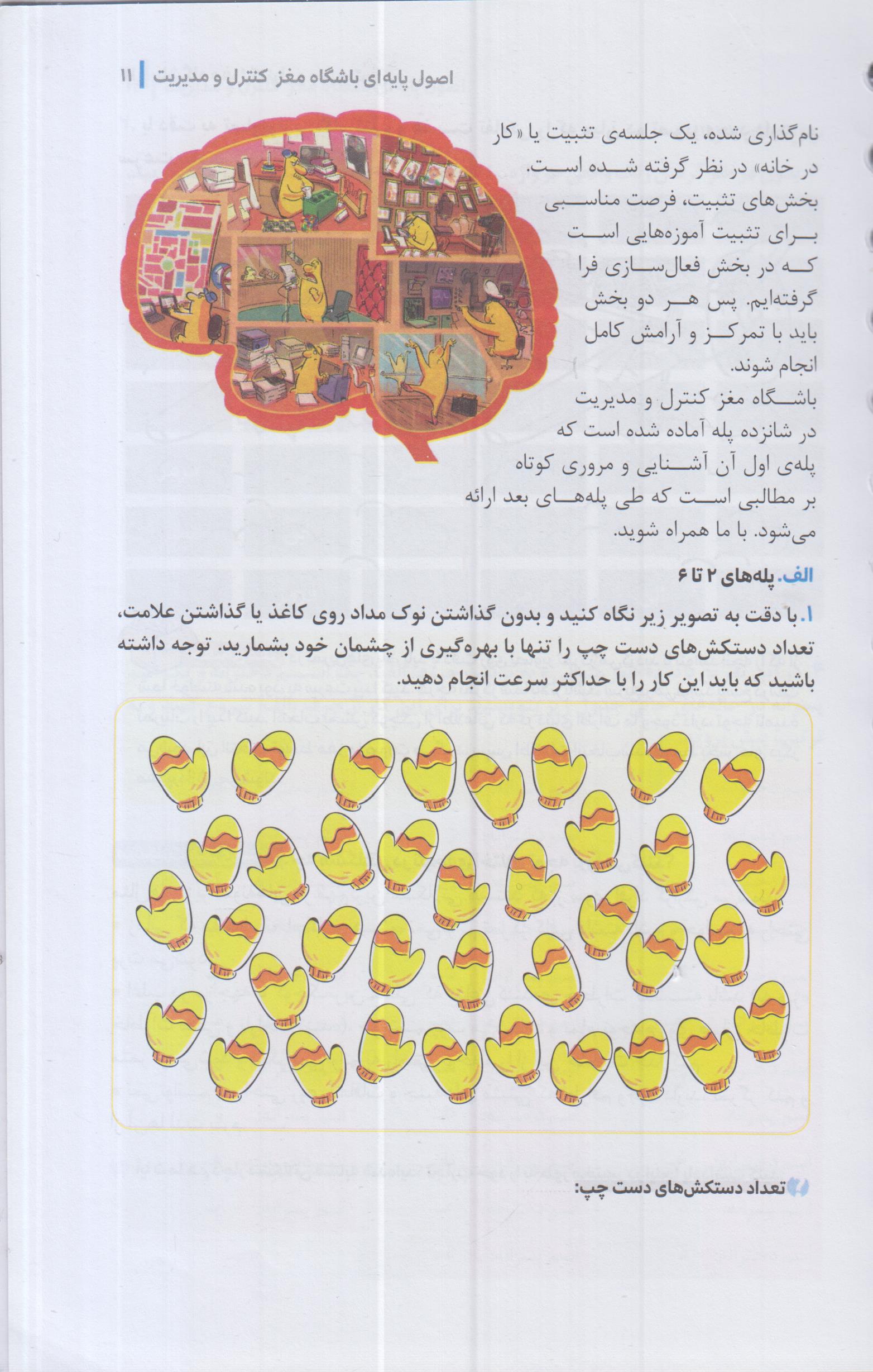 باشگاه مغز(4)کنترل و مدیریت